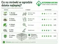 Domowe sposoby na mrówki w ogrodzie: od cynamonu po pułapki. Sprawdź, co działa najlepiej!