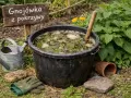 Gnojówka z pokrzywy gotowa do podlewania pomidorów. W czarnym wiadrze fermentują liście pokrzywy, obok konewka i rękawice ogrodnicze.