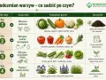 Płodozmian warzyw: po ogórkach (żarłocznych) siej warzywa średnio wymagające, strączkowe lub poplony.