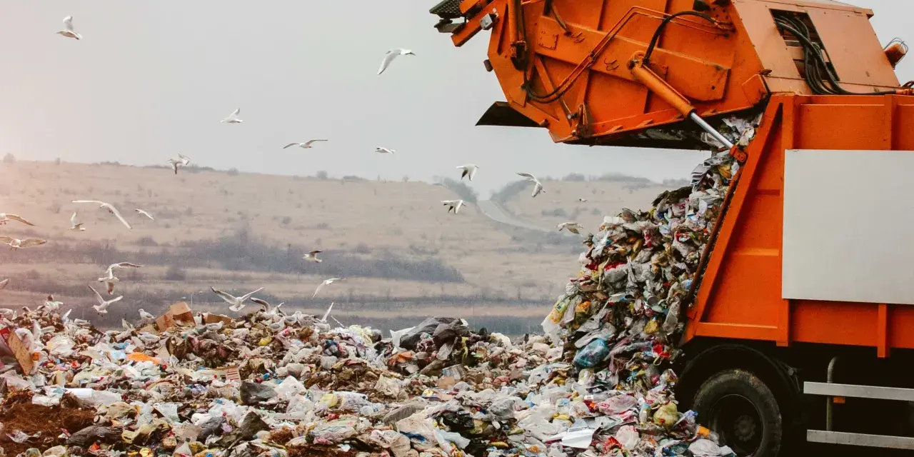 Pomarańczowa śmieciarka wysypuje odpady na wysypisku. Wokół latają mewy. Zastanawiasz się, gdzie oddać plastiki samochodowe? To miejsce nie jest odpowiednie.