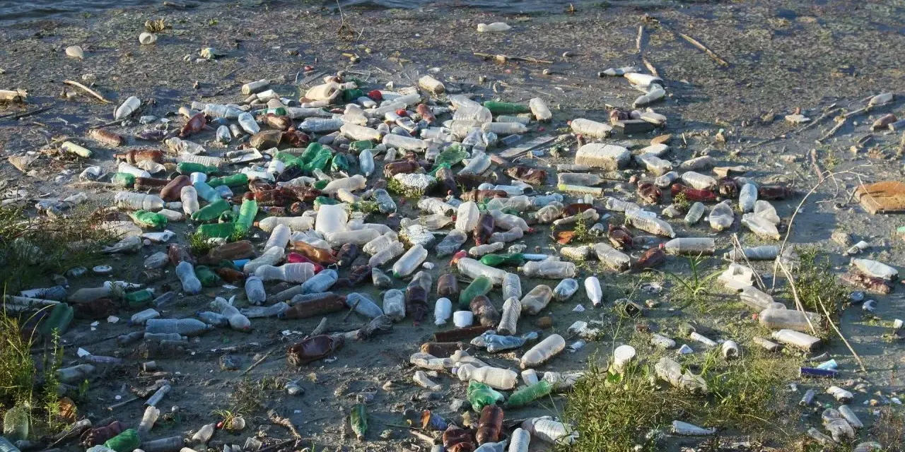 Brzeg rzeki zasłany plastikowymi butelkami i innymi śmieciami w wodzie. Smutny widok zanieczyszczenia.