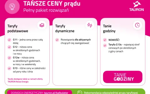 Tauron oferuje różne taryfy prądu: podstawowe, dynamiczne i tanie godziny. Wybierz najlepszą dla siebie, by korzystać z niższych cen.