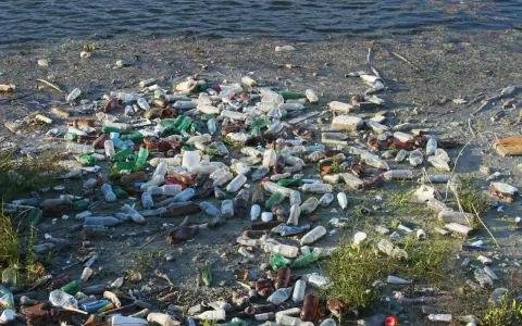 Brzeg rzeki zasłany plastikowymi butelkami i innymi śmieciami w wodzie. Smutny widok zanieczyszczenia.