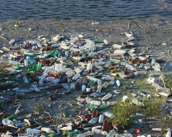 Brzeg rzeki zasłany plastikowymi butelkami i innymi śmieciami w wodzie. Smutny widok zanieczyszczenia.