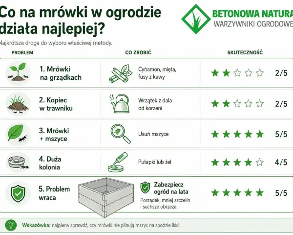 Domowe sposoby na mrówki w ogrodzie: od cynamonu po pułapki. Sprawdź, co działa najlepiej!