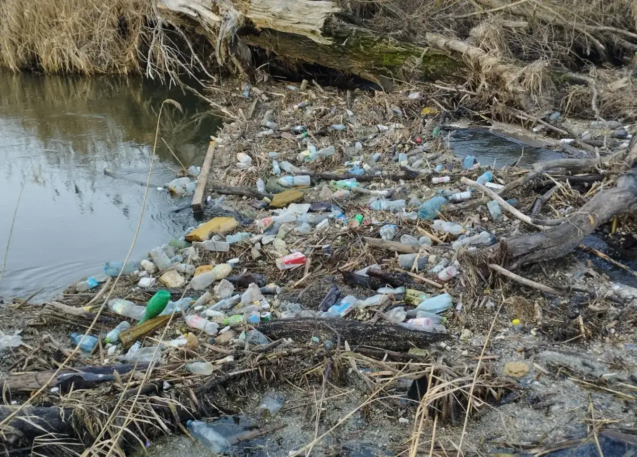 Brzeg rzeki zasypany plastikowymi butelkami i innymi śmieciami. Zanieczyszczona woda i przyroda.