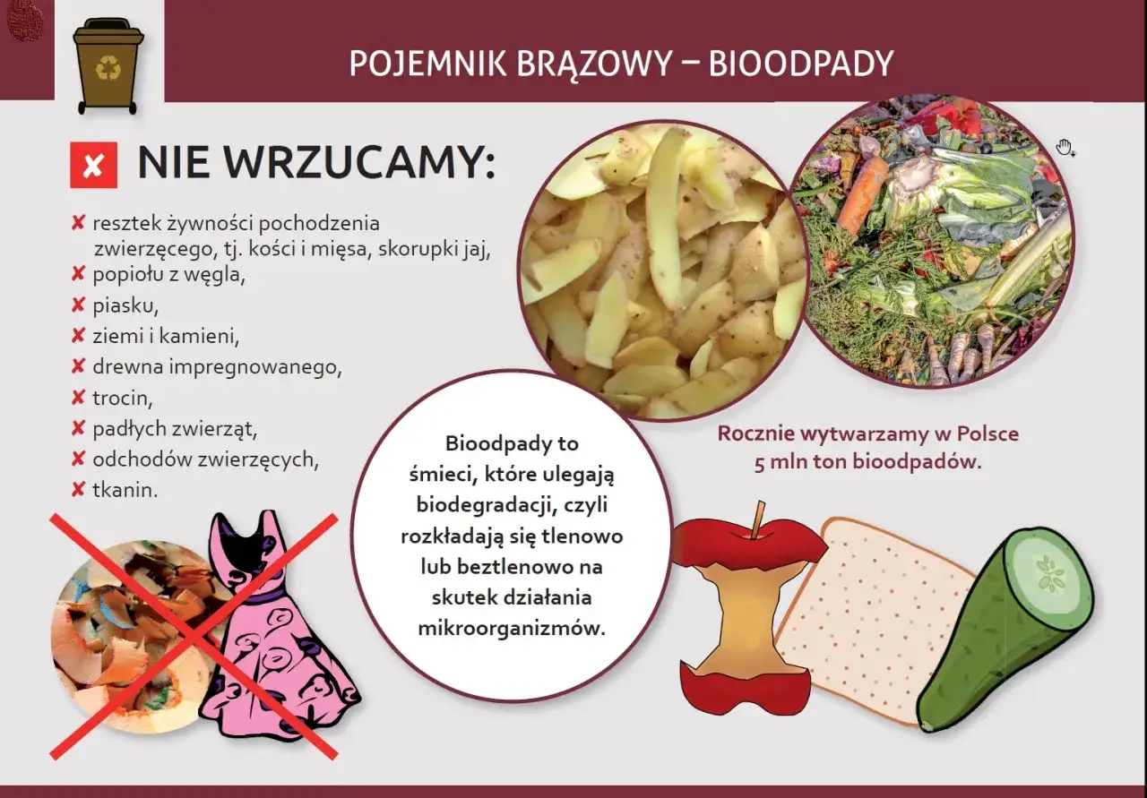 Czy odpady bio można wyrzucać w workach? Nie, do brązowego pojemnika nie wrzucamy resztek zwierzęcych, popiołu, piasku, ziemi, drewna, trocin, padłych zwierząt, odchod&oacute;w ani tkanin.